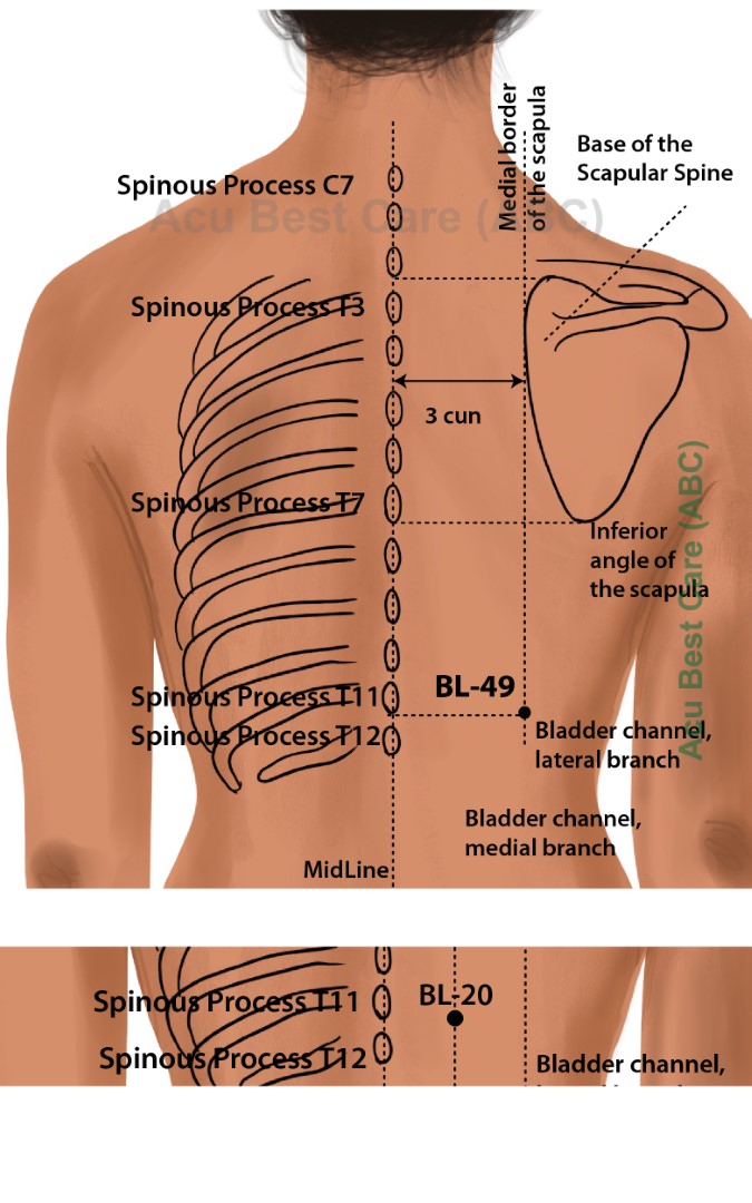 Acubestcare Meridian UB-49 or BL-49